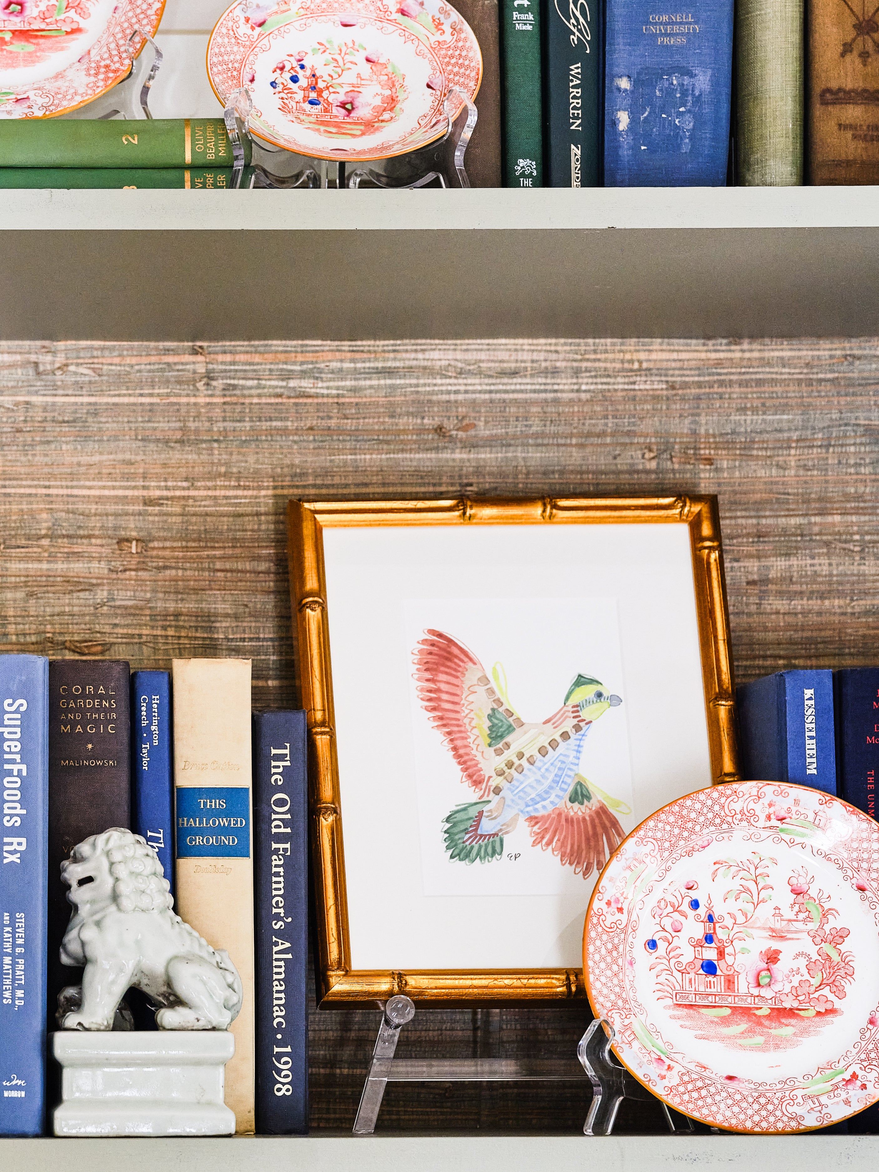 Decorative shelf with books, plates, and a framed artwork of a colorful bird.